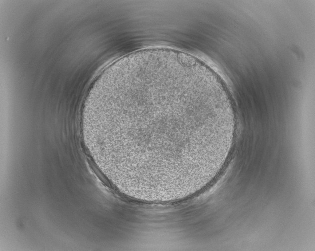 X0000114121145200911161134