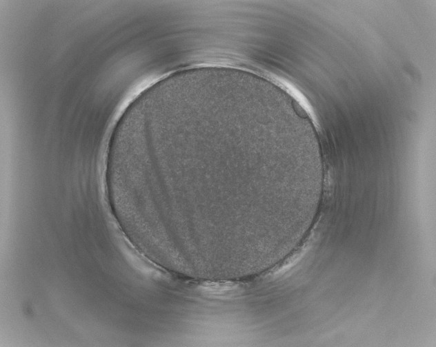 X0000114121146200911161134