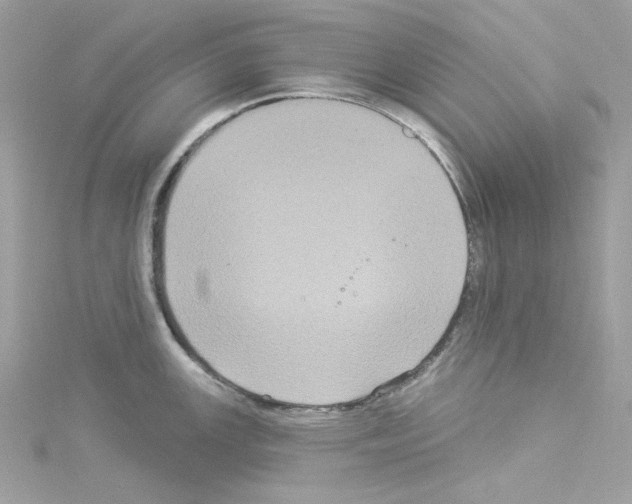 X0000114121147200911161134