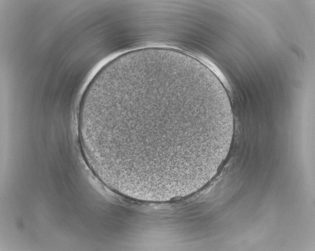 X0000114121148200911161134