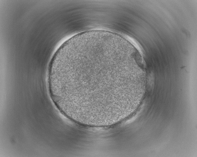 X0000114121149200911161134