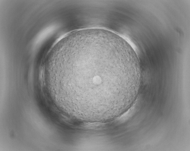 X0000114121150200911161134