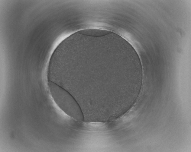 X0000114121152200911161134