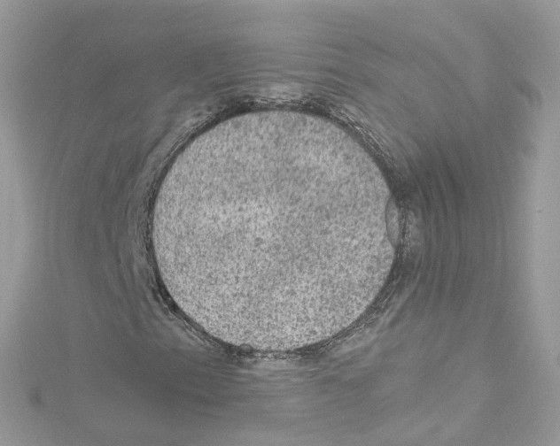 X0000114121153200911161133