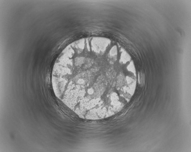 X0000114121155200911161133