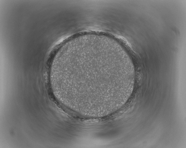 X0000114121159200911161133