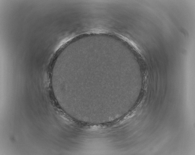 X0000114121160200911161133