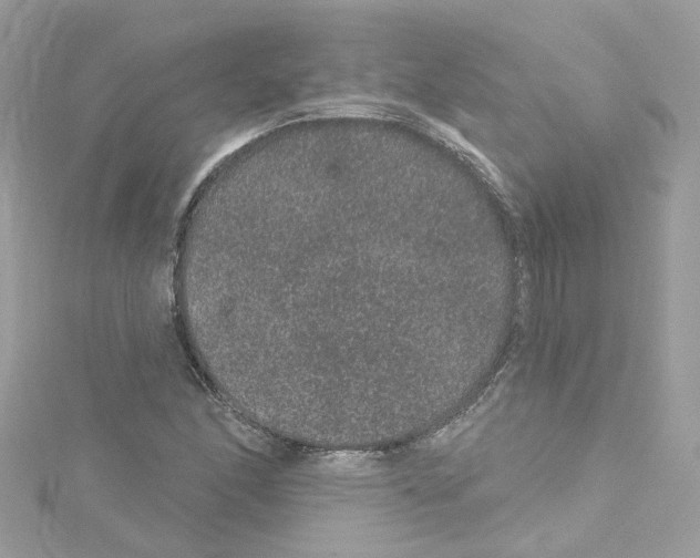 X0000114121166200911161133