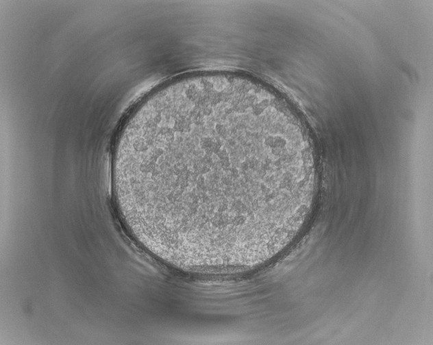 X0000114121171200911161133