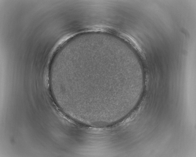 X0000114121172200911161133