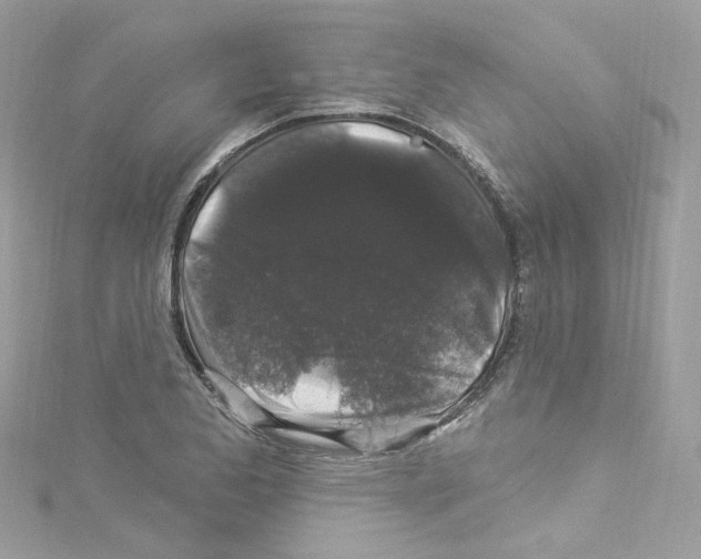 X0000114121173200911161133