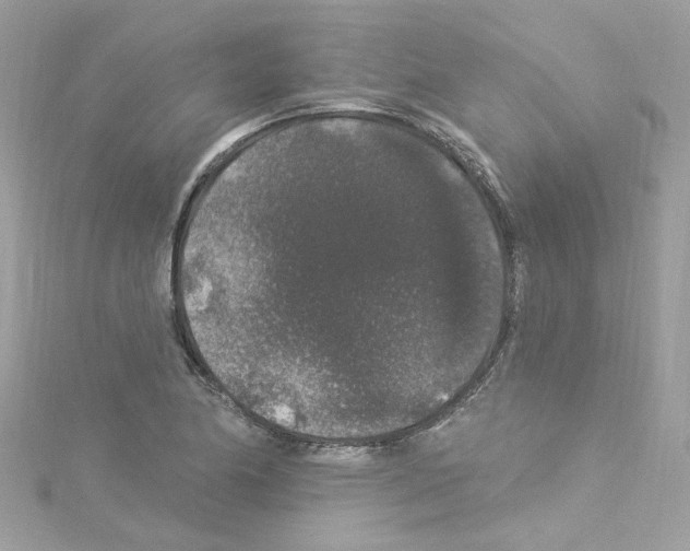 X0000114121174200911161133