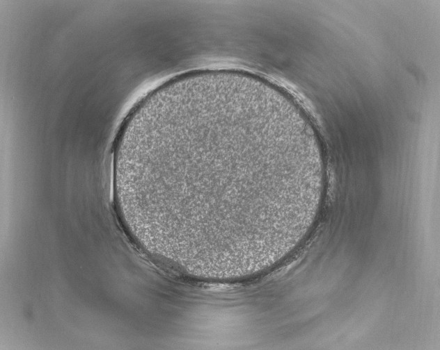 X0000114121175200911161133