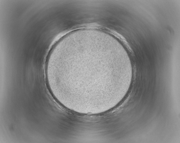 X0000114121176200911161133