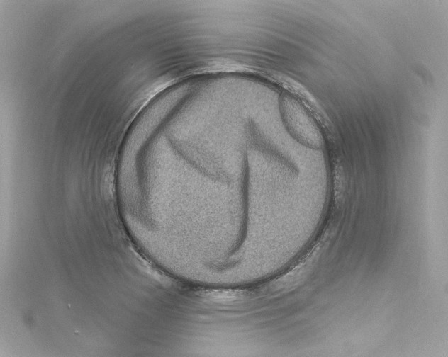 X0000114121177200911161133