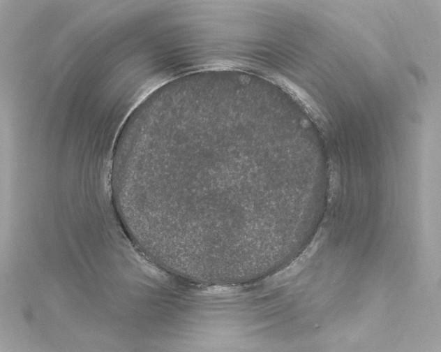 X0000114121178200911161133