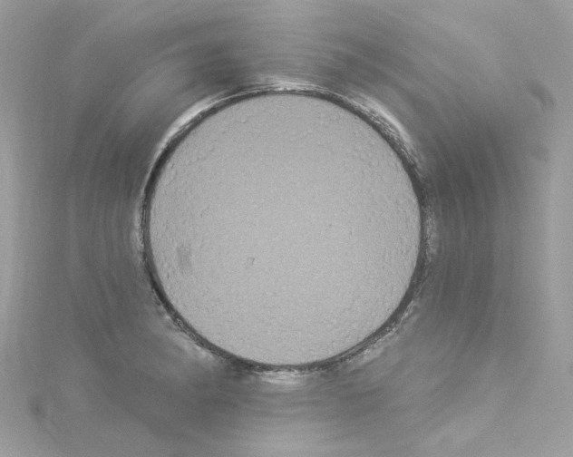 X0000114121182200911161133