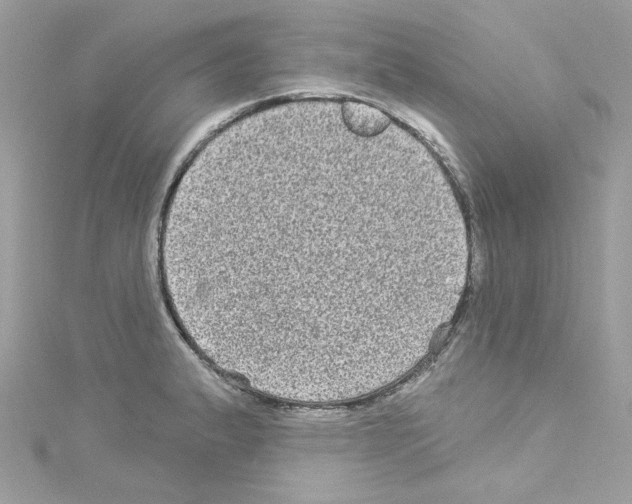 X0000114121183200911161133