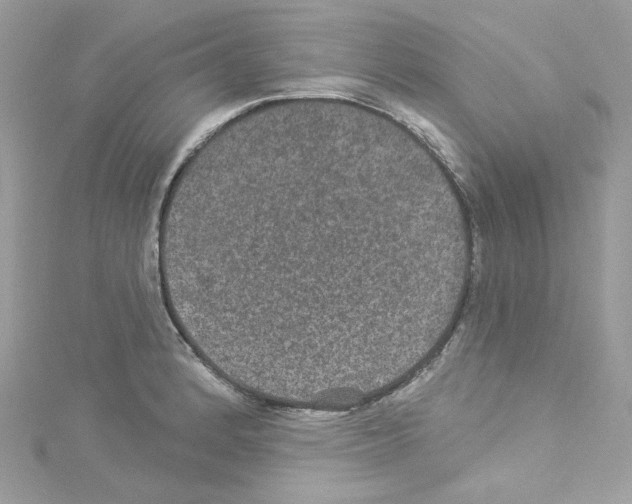 X0000114121184200911161133