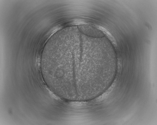 X0000114121185200911161133