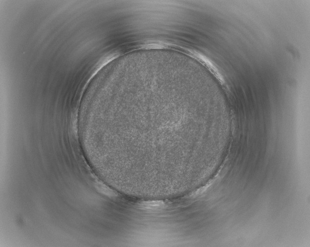 X0000114121186200911161133