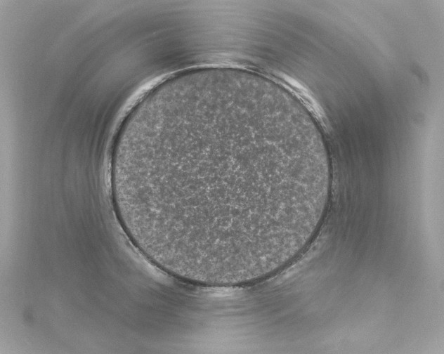 X0000114121188200911161133