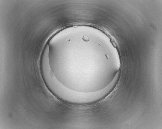 X0000114121189200911161133