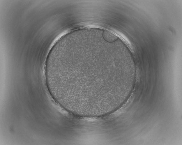 X0000114121190200911161133