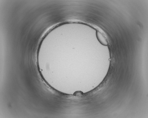 X0000114121191200911161133