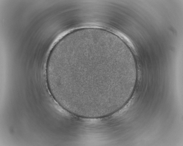 X0000114121192200911161133