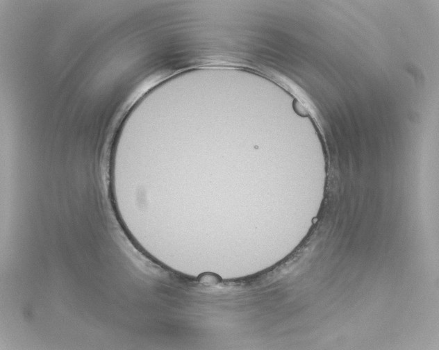 X0000114121195200911161132