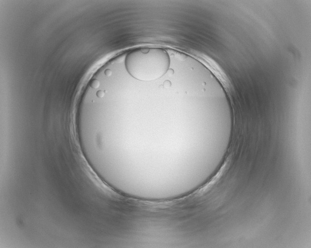 X0000114121196200911161132