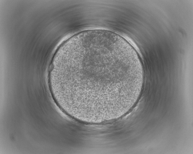 X0000114121197200911161132