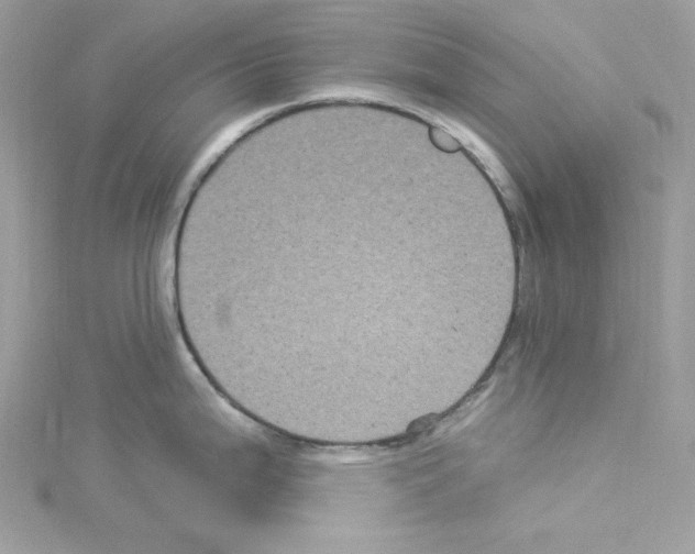 X0000114121199200911161132