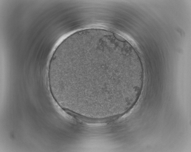 X0000114121200200911161132