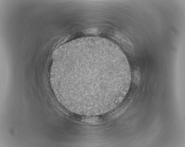 X0000114121201200911161132