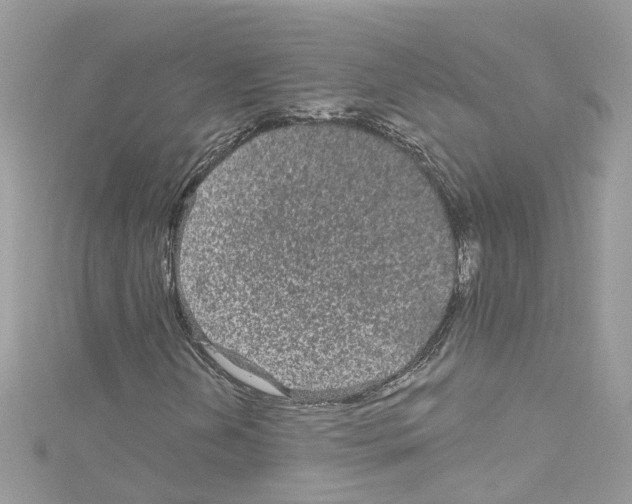 X0000114121202200911161132