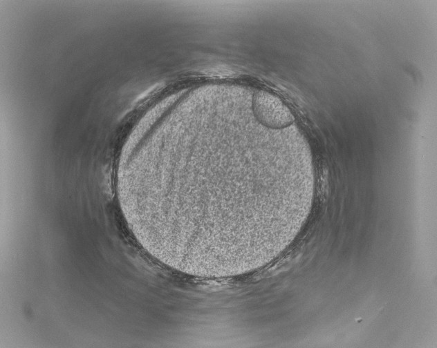 X0000114121205200911161132