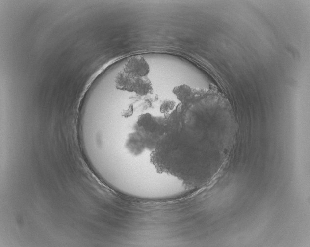 X0000114121212200911161132