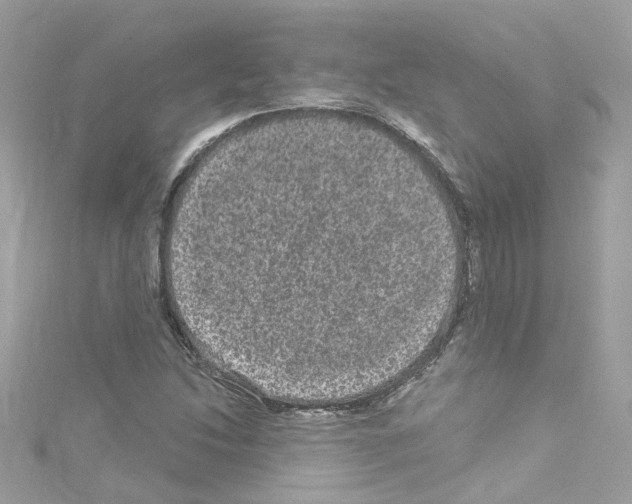 X0000114121214200911161132