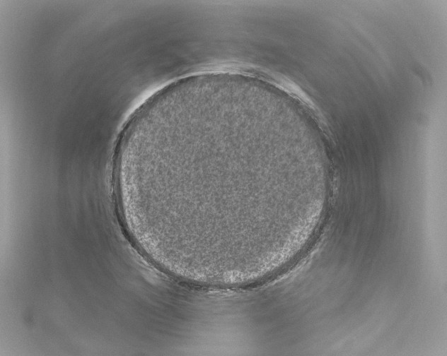 X0000114121216200911161132