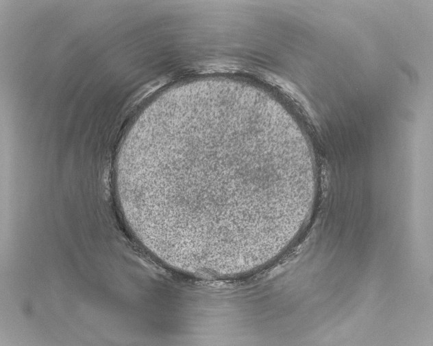 X0000114121217200911161132