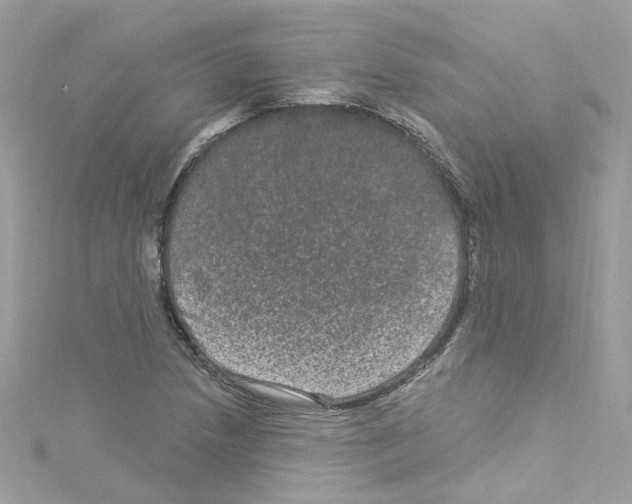 X0000114121218200911161132