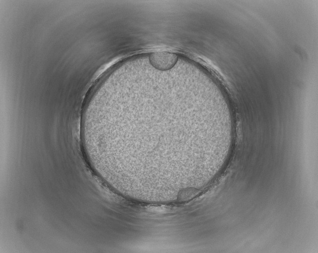 X0000114121220200911161132