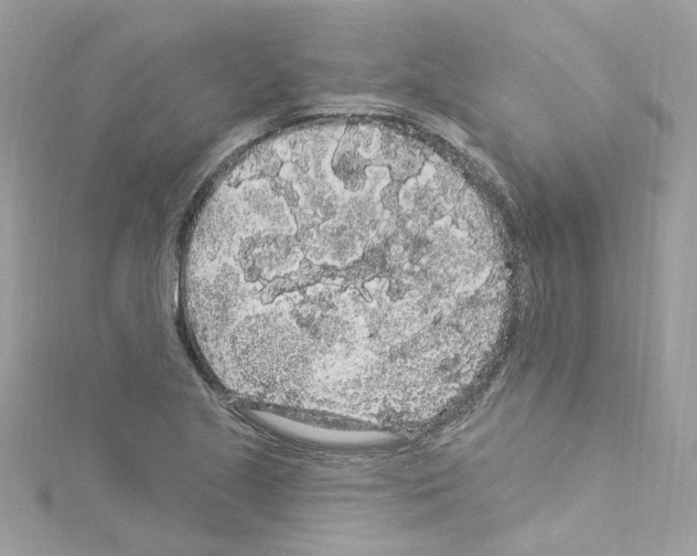 X0000114121221200911161132