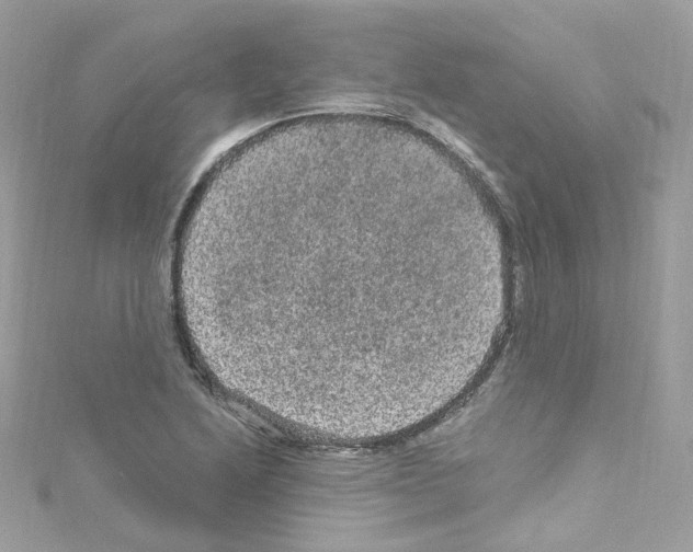 X0000114121222200911161132