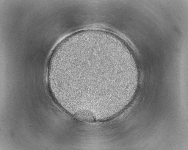 X0000114121224200911161132