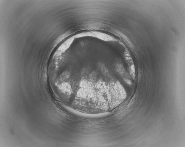 X0000114121226200911161132