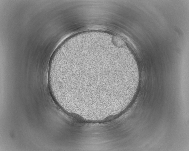 X0000114121228200911161132