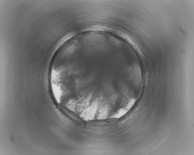 X0000114121229200911161132